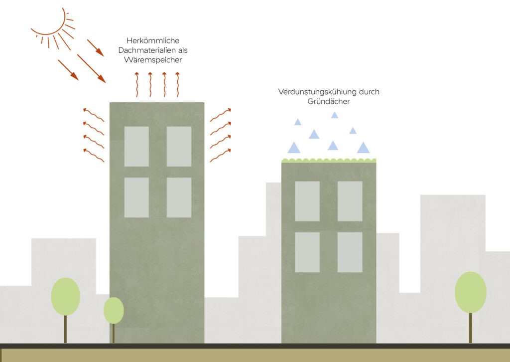 سقفهای سرد؛ راهکاری برای کاهش مصرف انرژی در ساختمان 3 تأثیر شرایط اقلیمی بر عملکرد حرارتی سقف و کاهش دمای سطح بام-Rymast