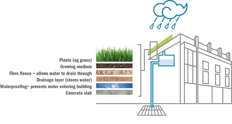 آموزش مدلسازی بام سبز در DesignBuilder | تحلیل رفتار حرارتی و کاهش مصرف انرژی ساختمان 5 green roof modeling designbuilder energy analysis 05